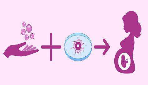 代怀生男孩套餐,代生双胞胎生殖,流产后卵巢囊肿是什么原因引起的流产后为什么会出现卵巢囊肿