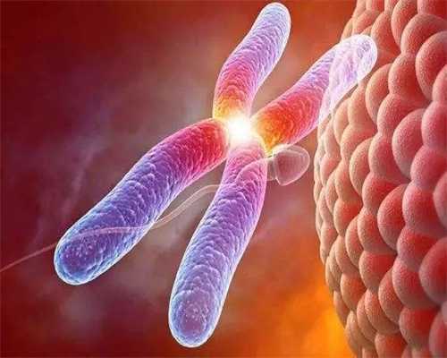 备孕喝豆浆？卵泡的魔法助力？,代孕供卵代怀机构