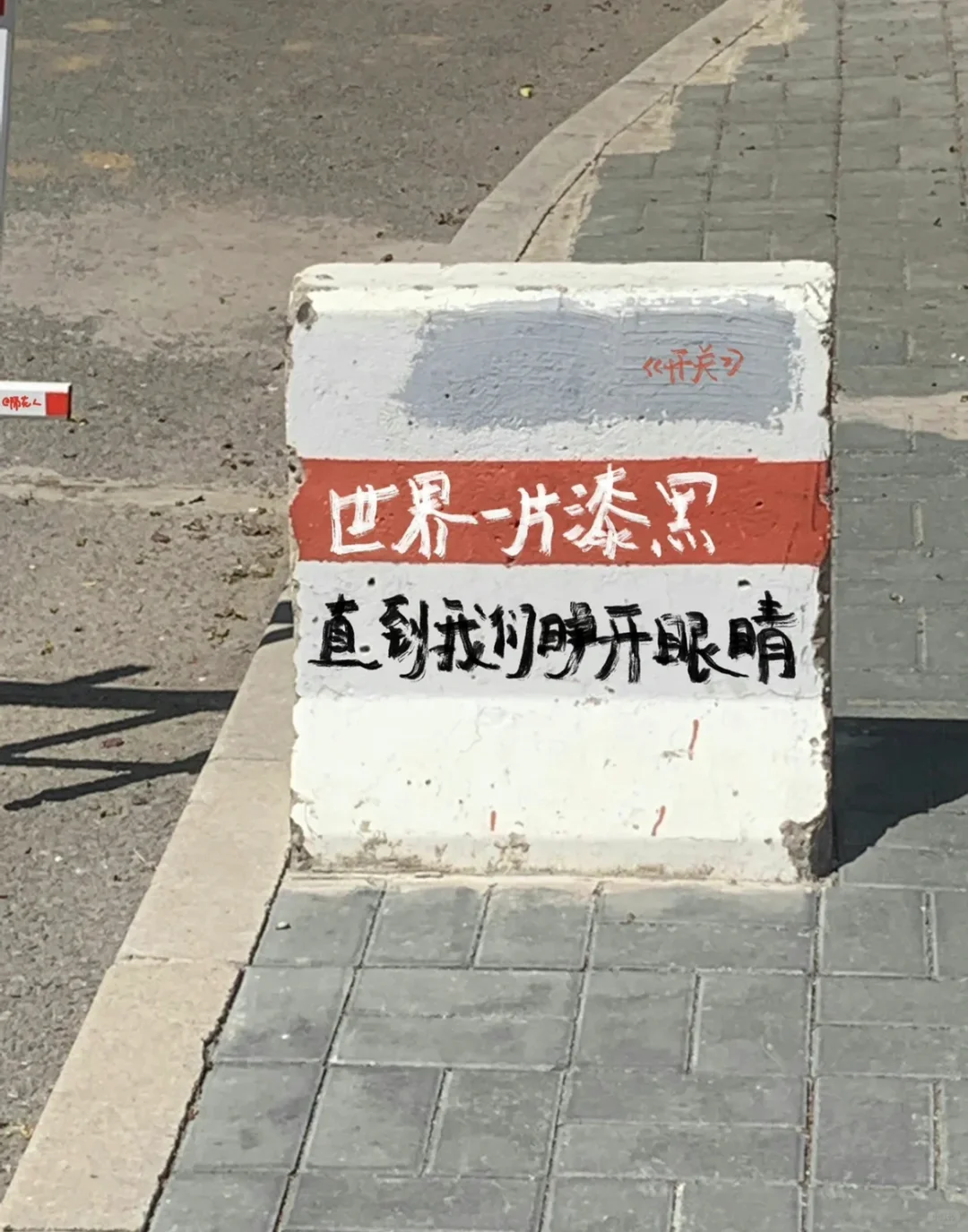 书籍｜最近偏爱人间清醒罗老师哲学,内膜薄会引起卵巢早衰吗，国内代怀供卵医院