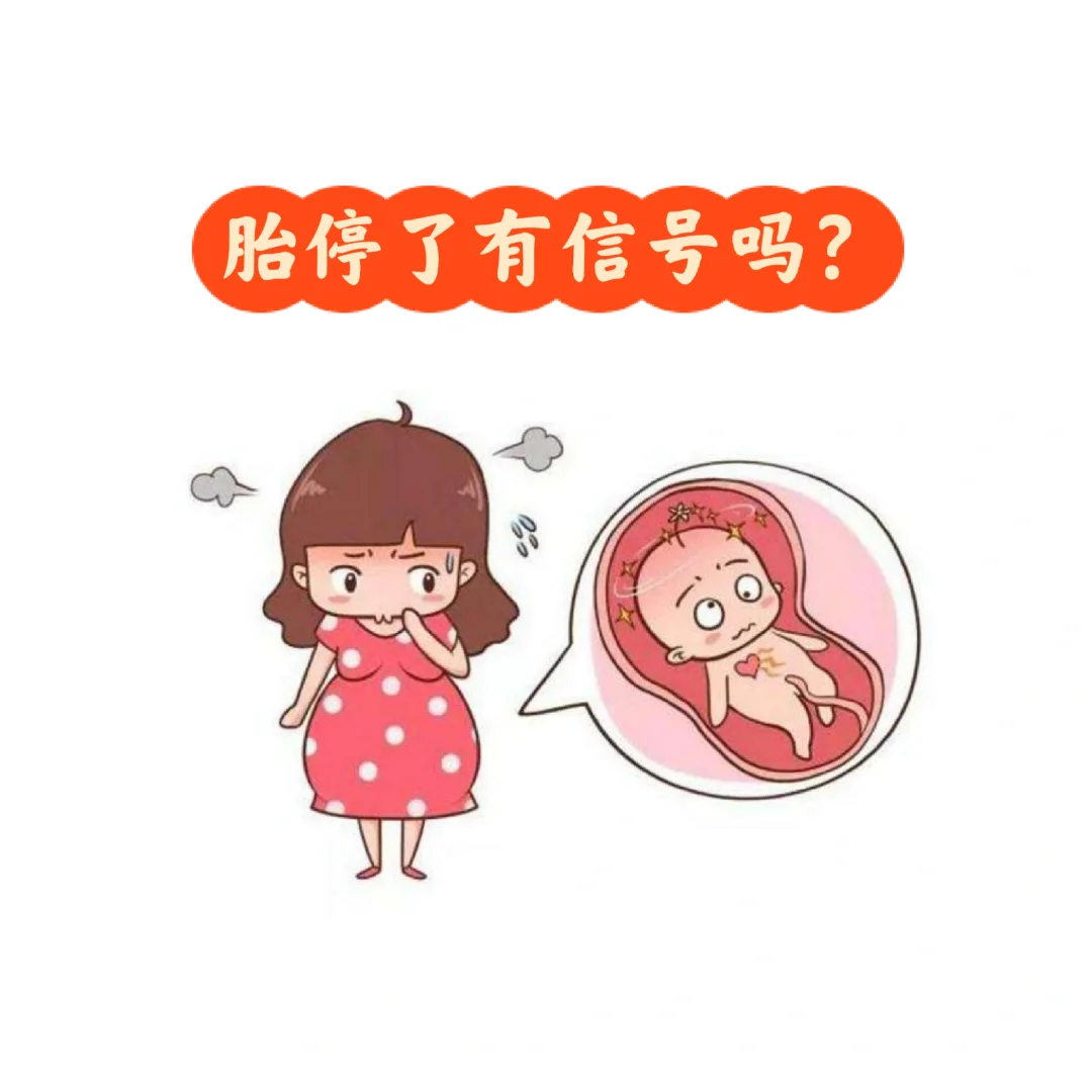 胎停了有信号吗？怎样判断是不是胎停？