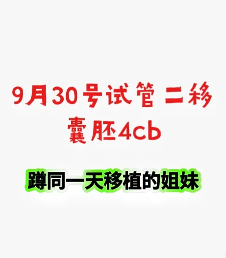 9月30号移植囊胚的姐妹你们测出来了吗。,国内供卵试管群,国内靠谱供卵