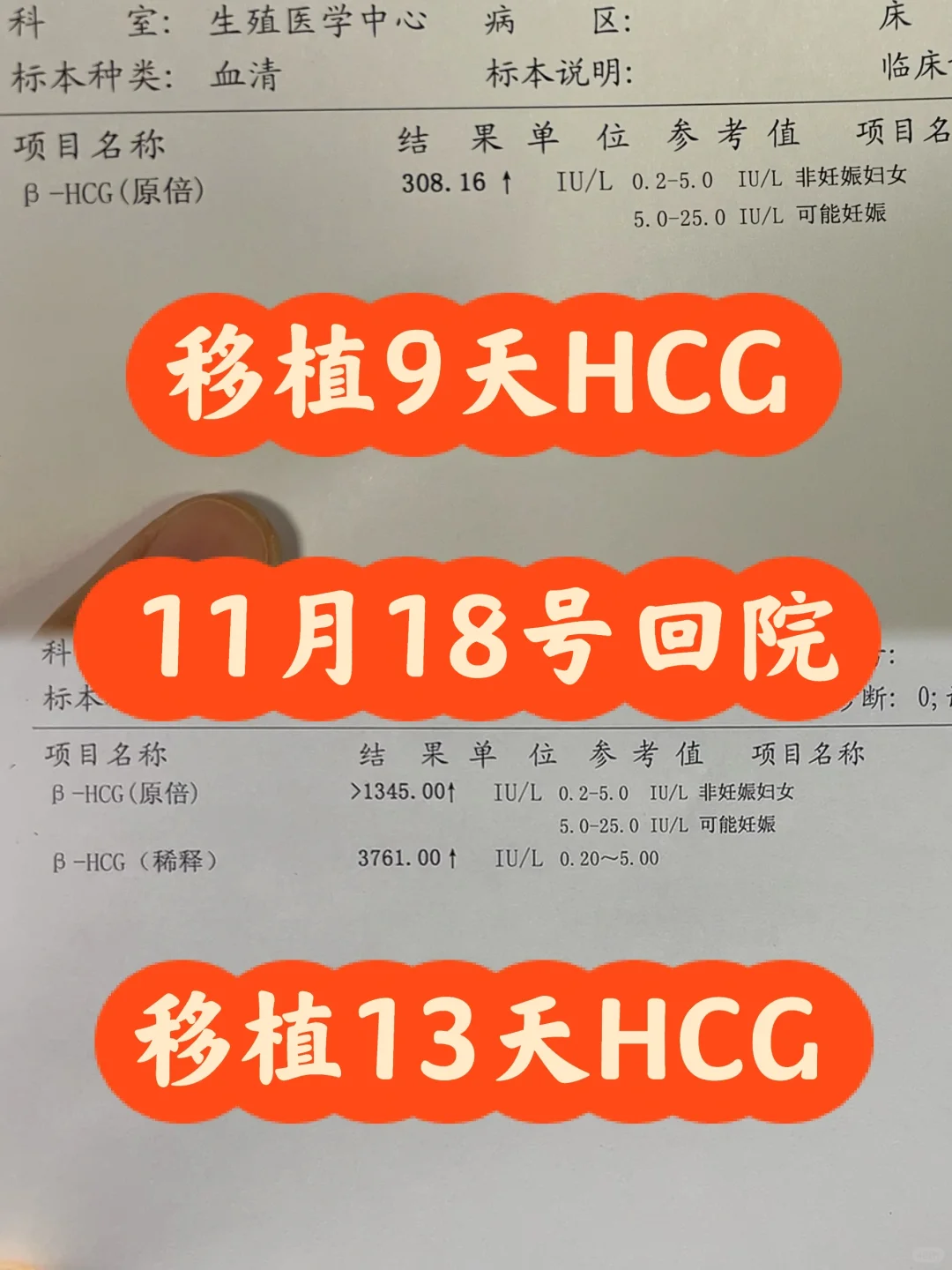11月18号移植第13天｜回院查翻倍