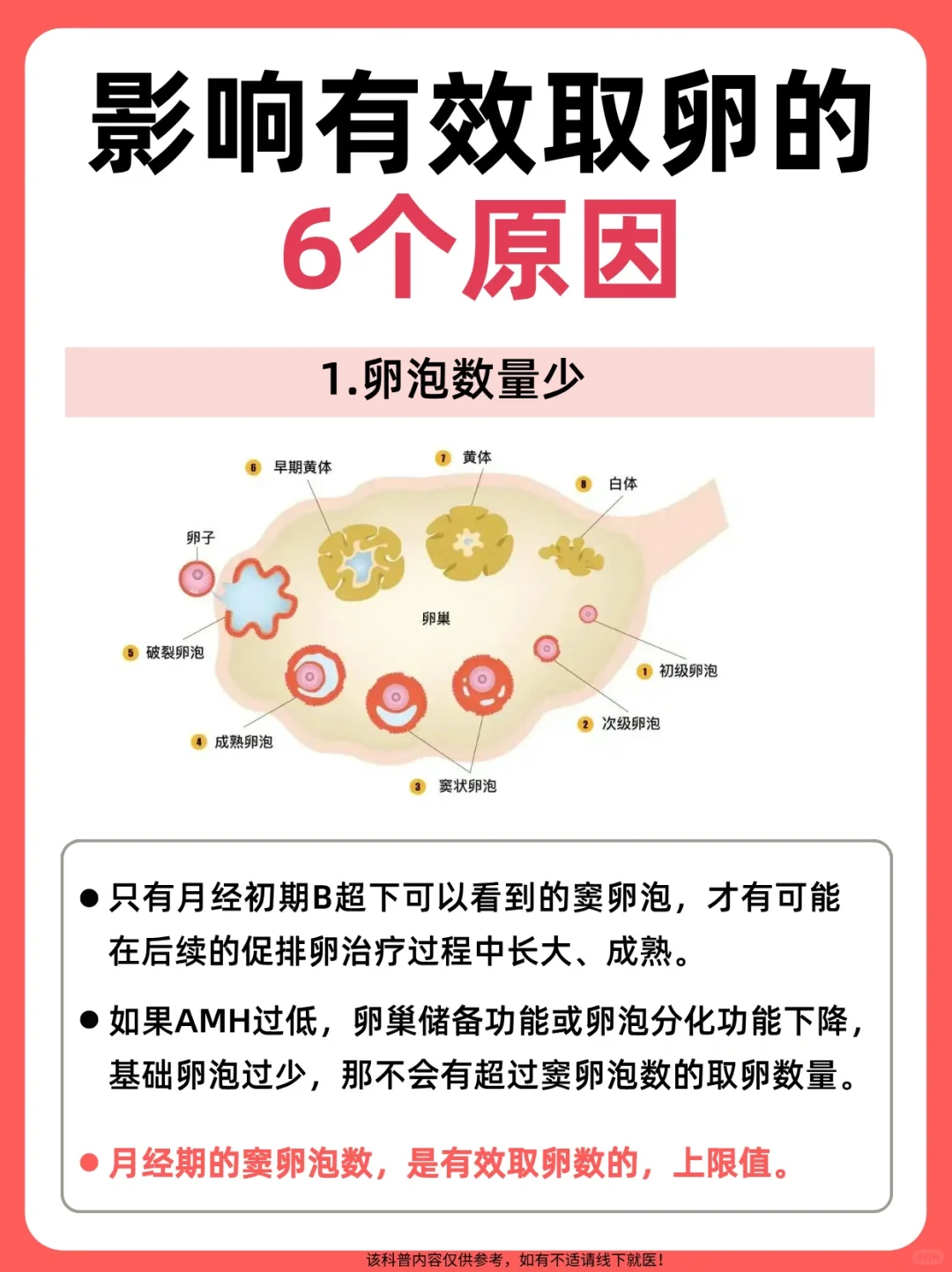 提高“有效”卵子数量：这6点你要做到